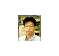 Shin-ichi Meguro (Senior Researcher; Dr. of Engineering)