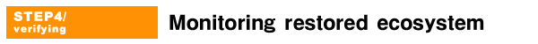 STEP4/verifyingMonitoring restored ecosystem